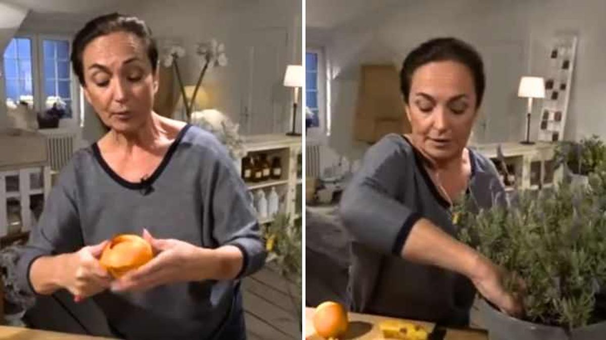 Trozos de naranja para evitar las hormigas en la planta de lavanda