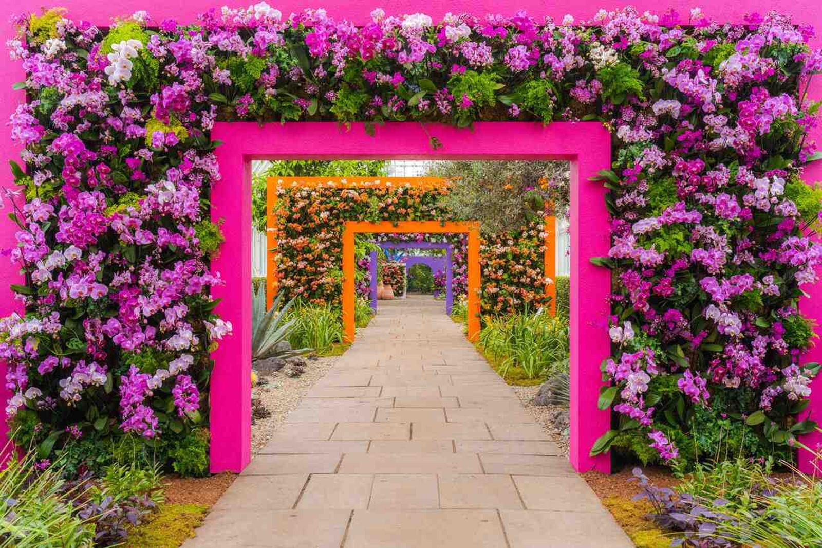 Orquídeas del Botánico de Nueva York rinden tributo al mexicano Luis Barragán.