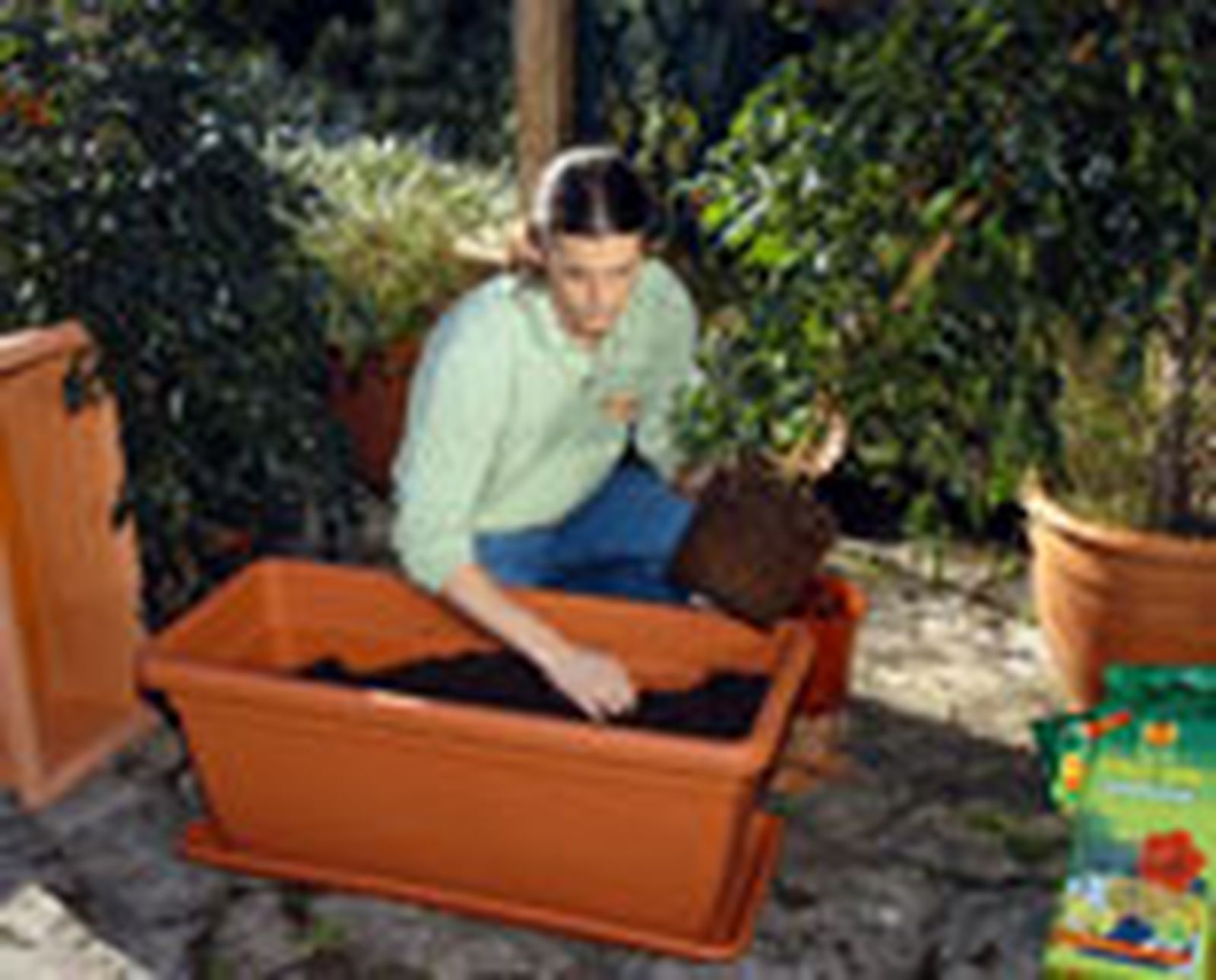 328 pant veg jard p04 328 pant veg jard p04