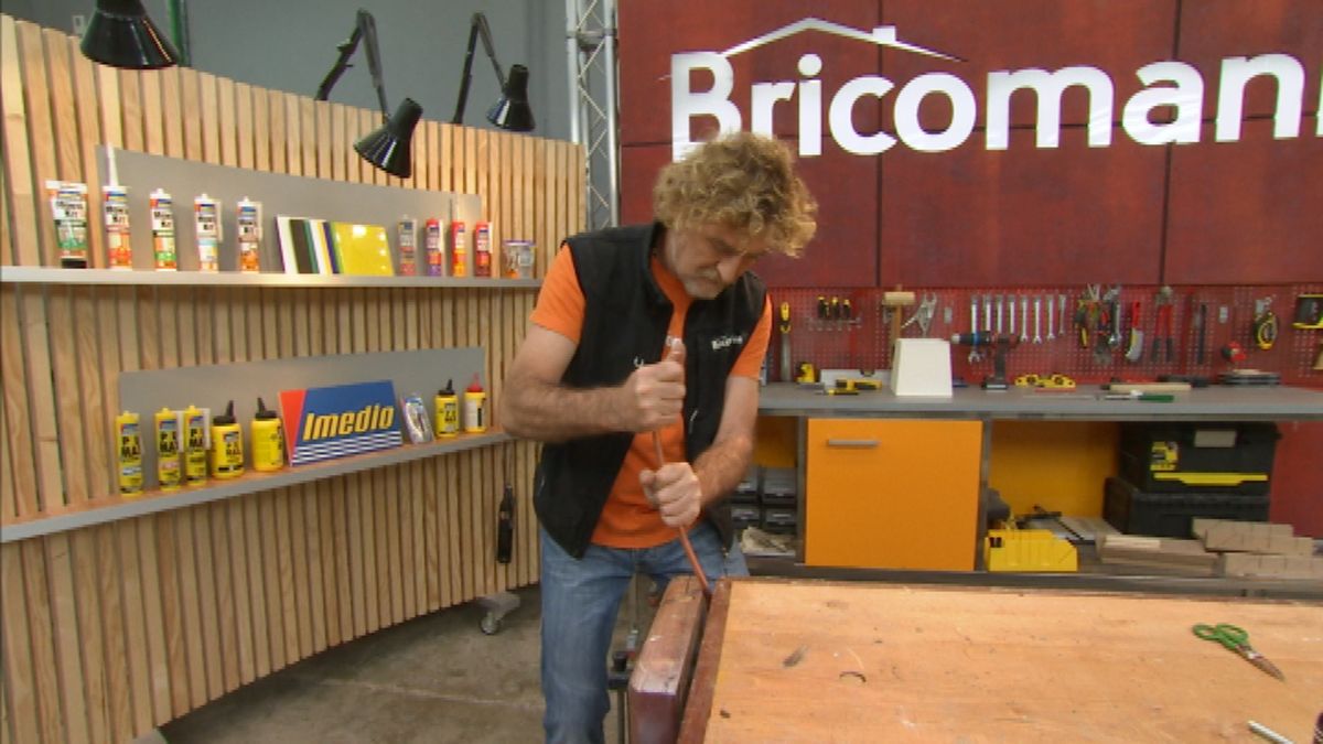 Lámpara silvestre paso 5