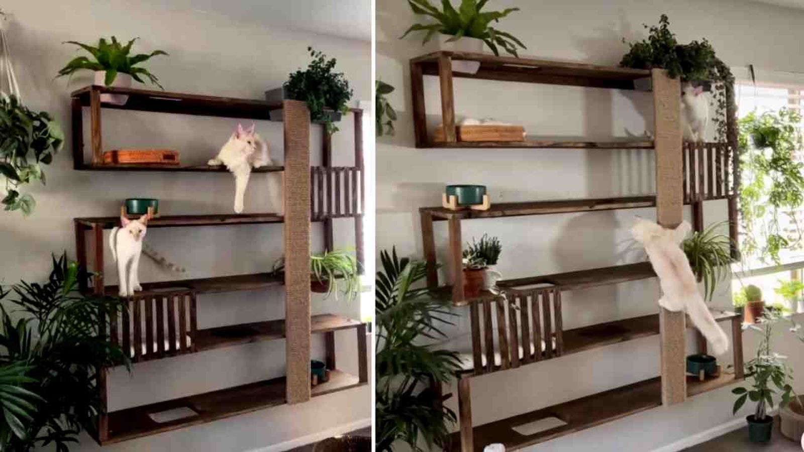 Árbol para gatos