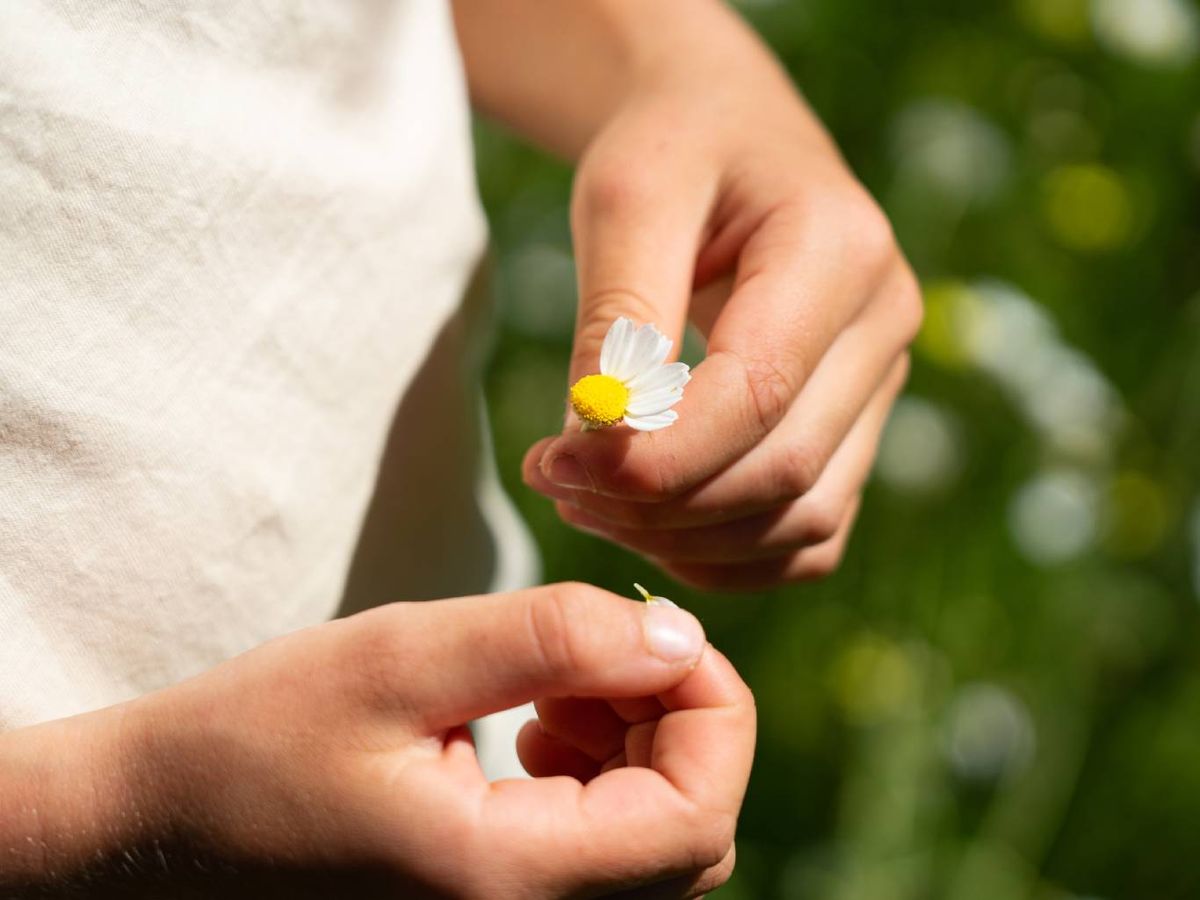 Existen listas infinitas de remedios para controlar las plagas. Ajo, vinagre o jabón de platos.