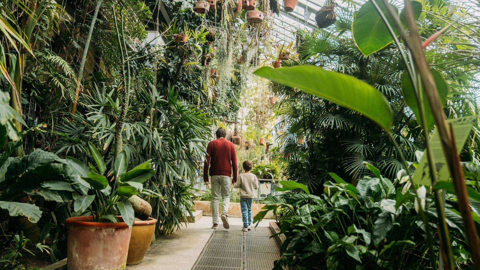 Algunas especies se protegen a sí  mismas y a las de alrededor, por lo que podríamos tomarlas como especies barrera