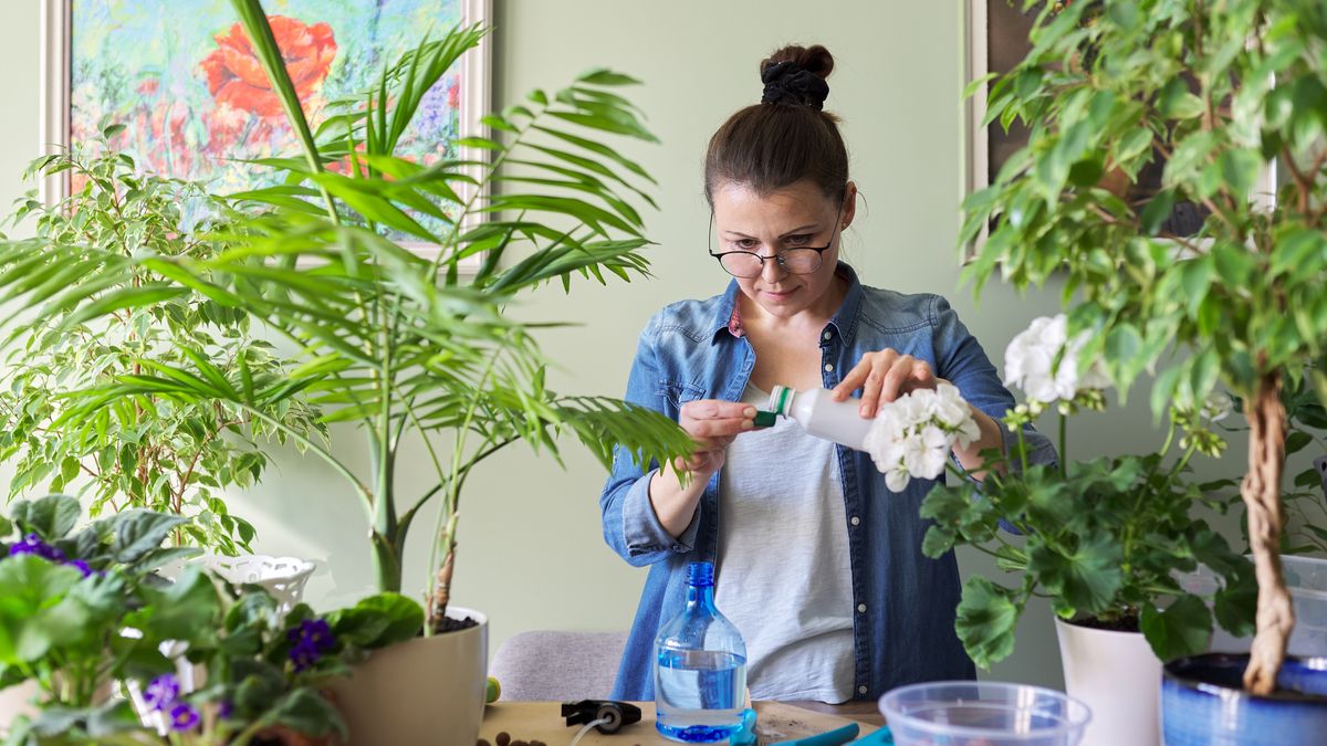 Opta por fertilizantes orgánicos que fortalecen la planta de forma integral