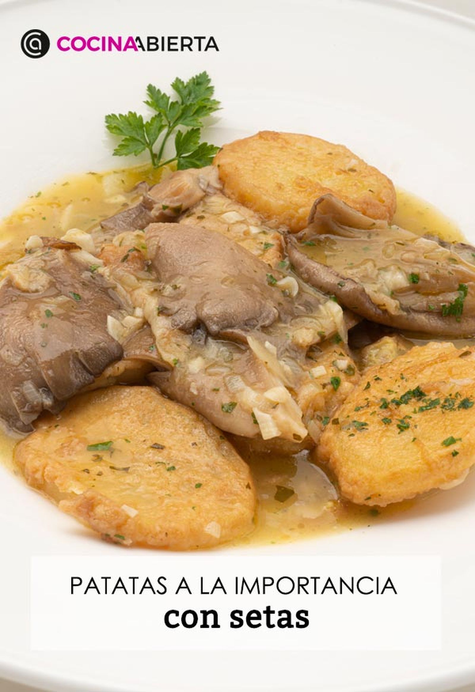 karl6691 patatas setas v karl6691 patatas setas v