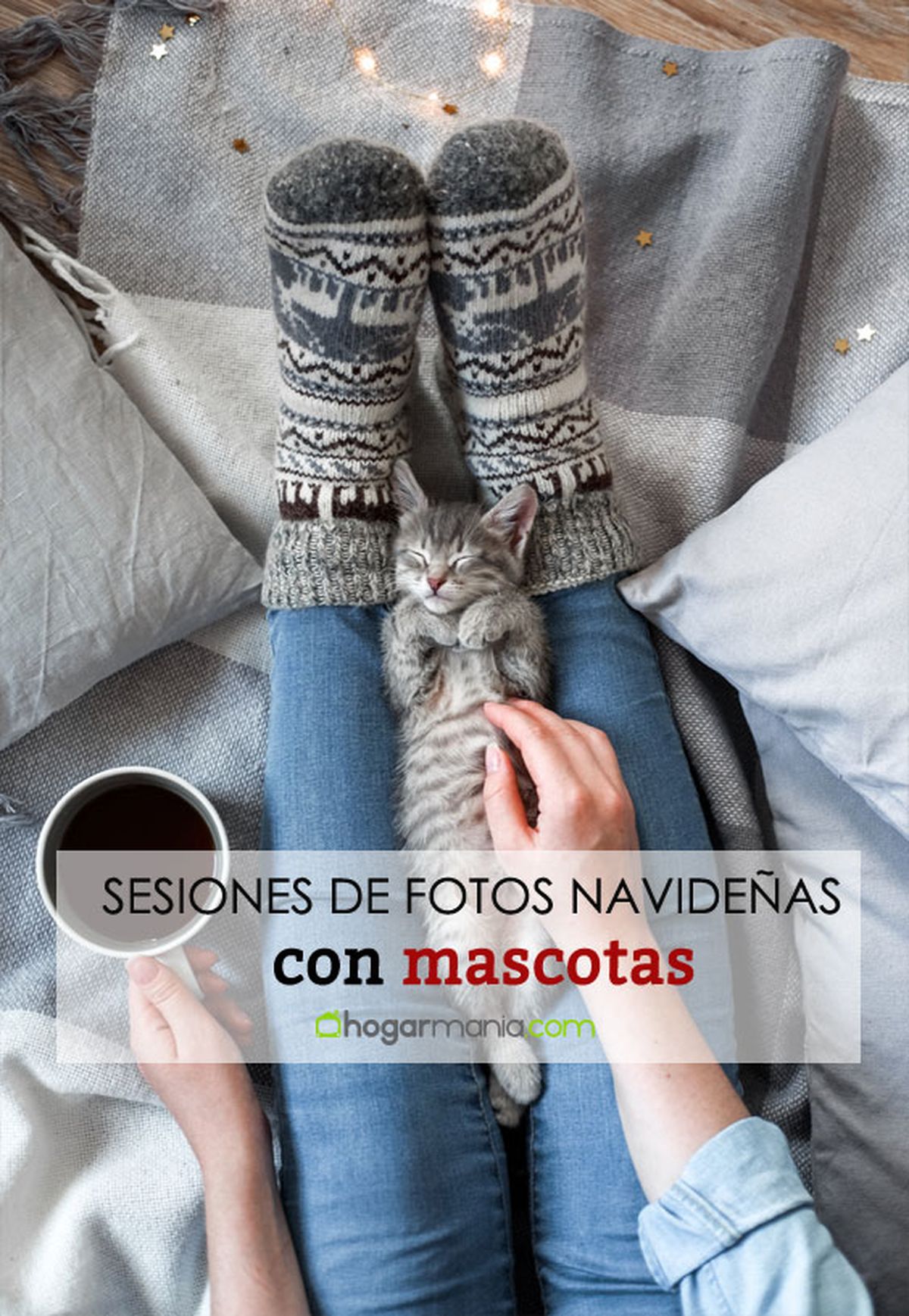 sesion de fotos con mascotas pin