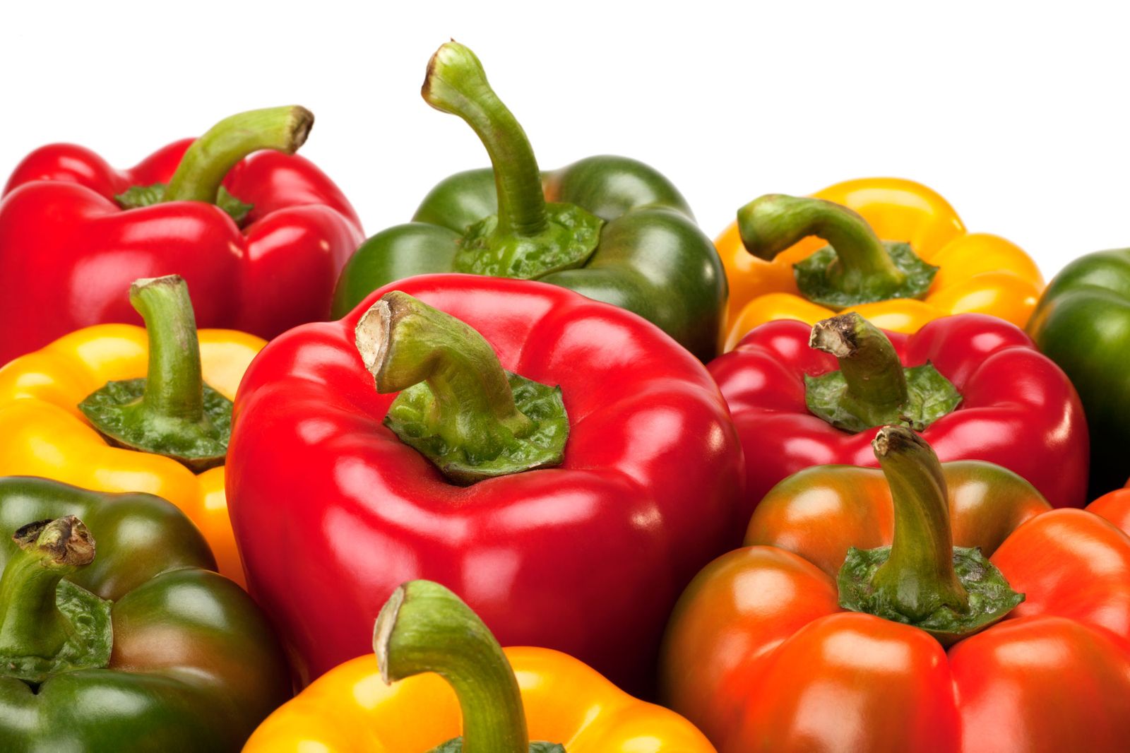 El pimiento