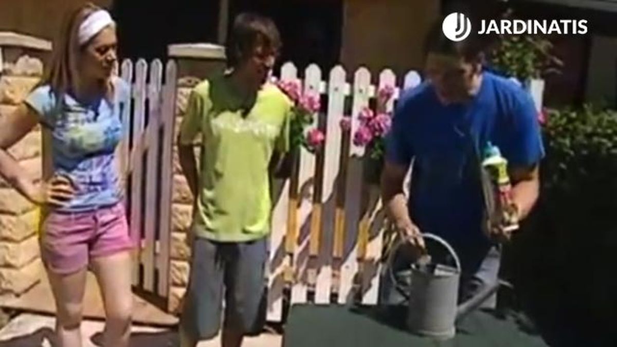 plantacion de distintas variedades de geranios en pared brico riego