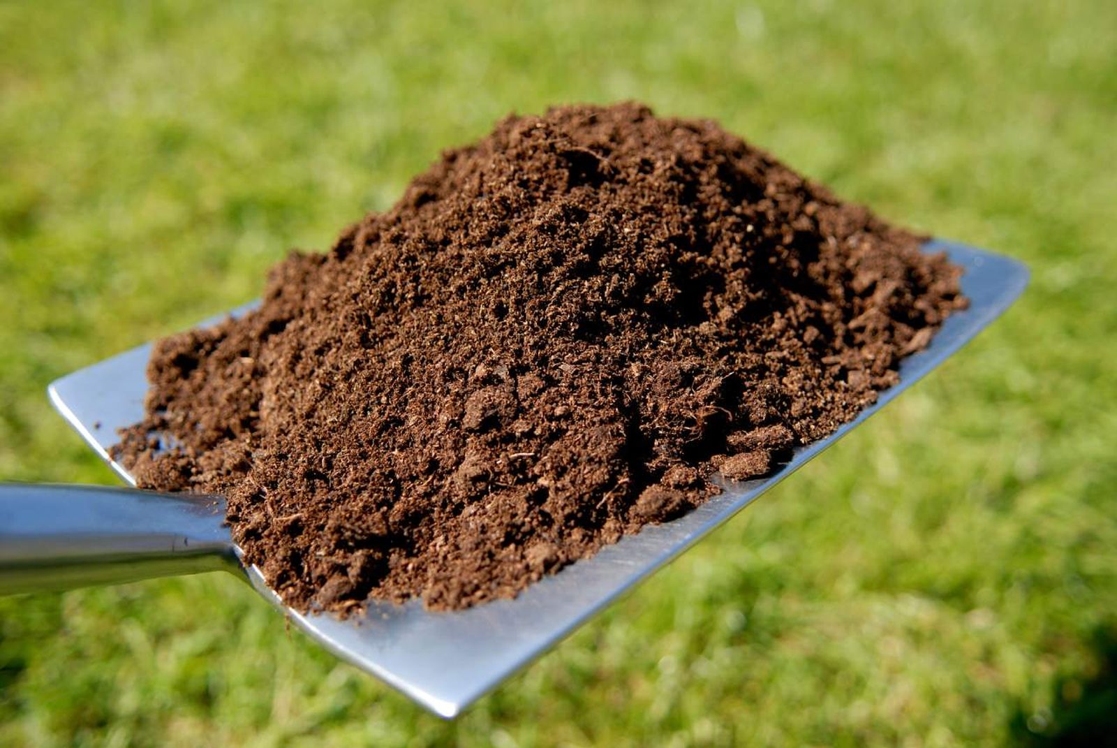 Eliminar las calvas del jardín mejora la salud y estética del césped