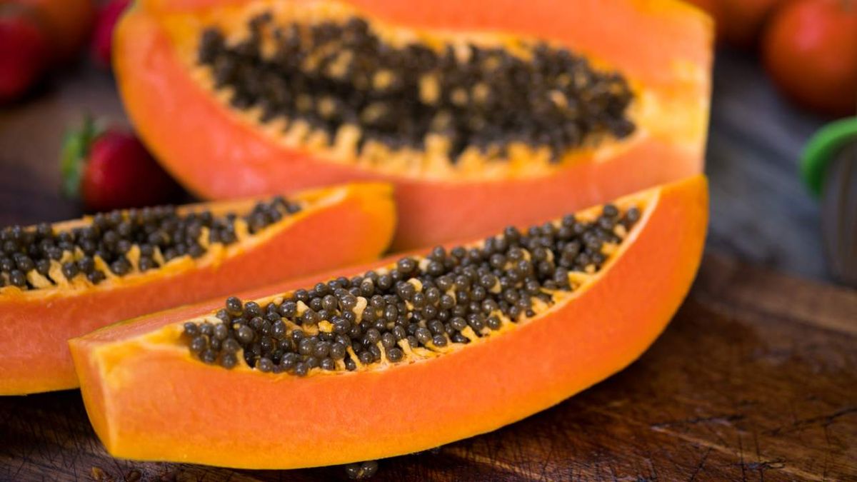 como sembrar papaya partir de semillas