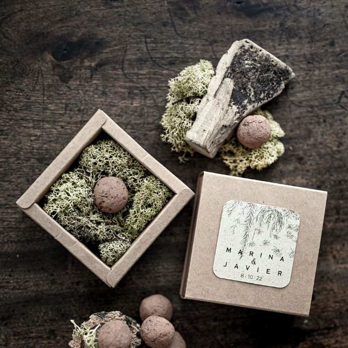 bombras de semillas mirandagreen