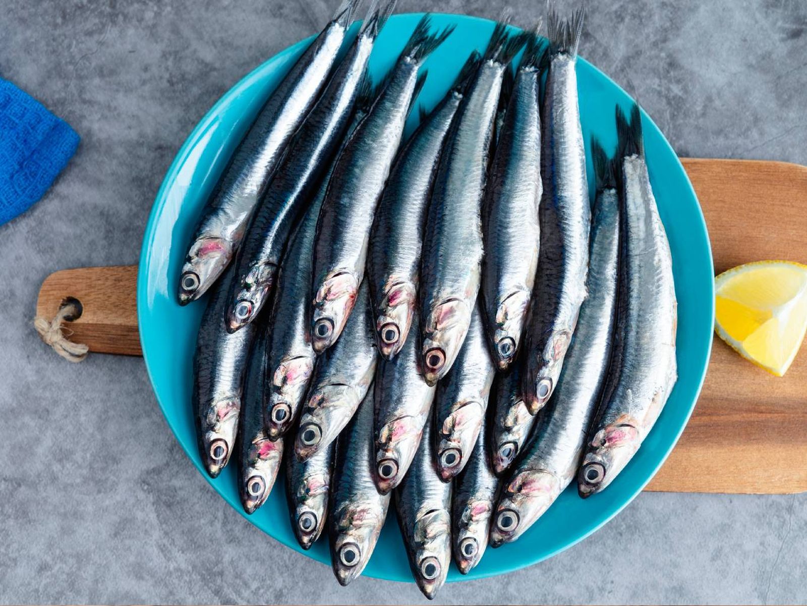 Anchoa y boquerón son el mismo pez Anchoa y boquerón son el mismo pez