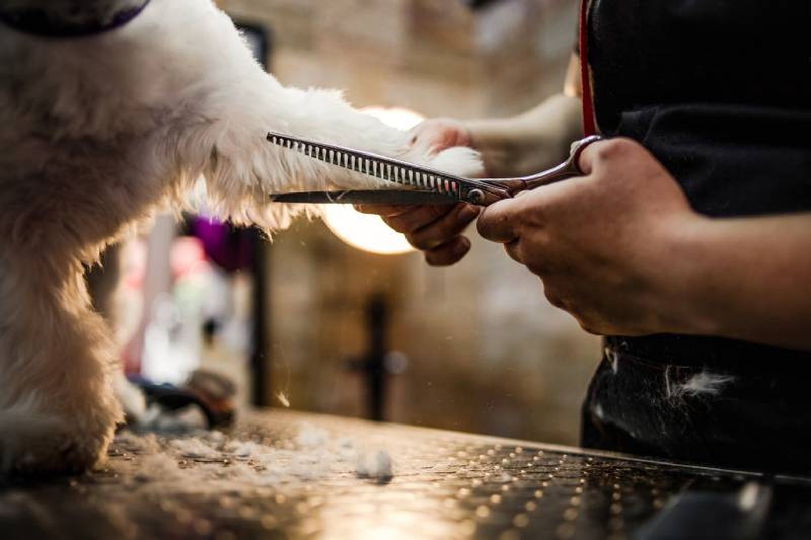 Todos coinciden en no rapar, sino cortar el pelo más corto para refrescar Todos coinciden en no rapar, sino cortar el pelo más corto para refrescar