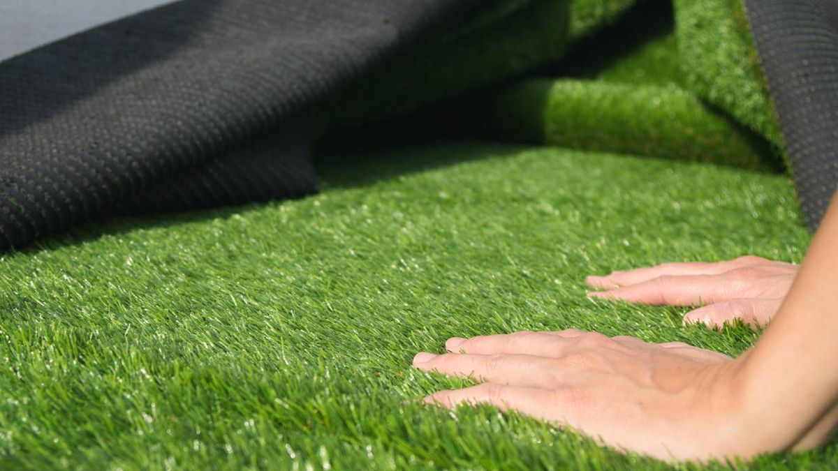 Festuca gautieri: decoración que no se pisa