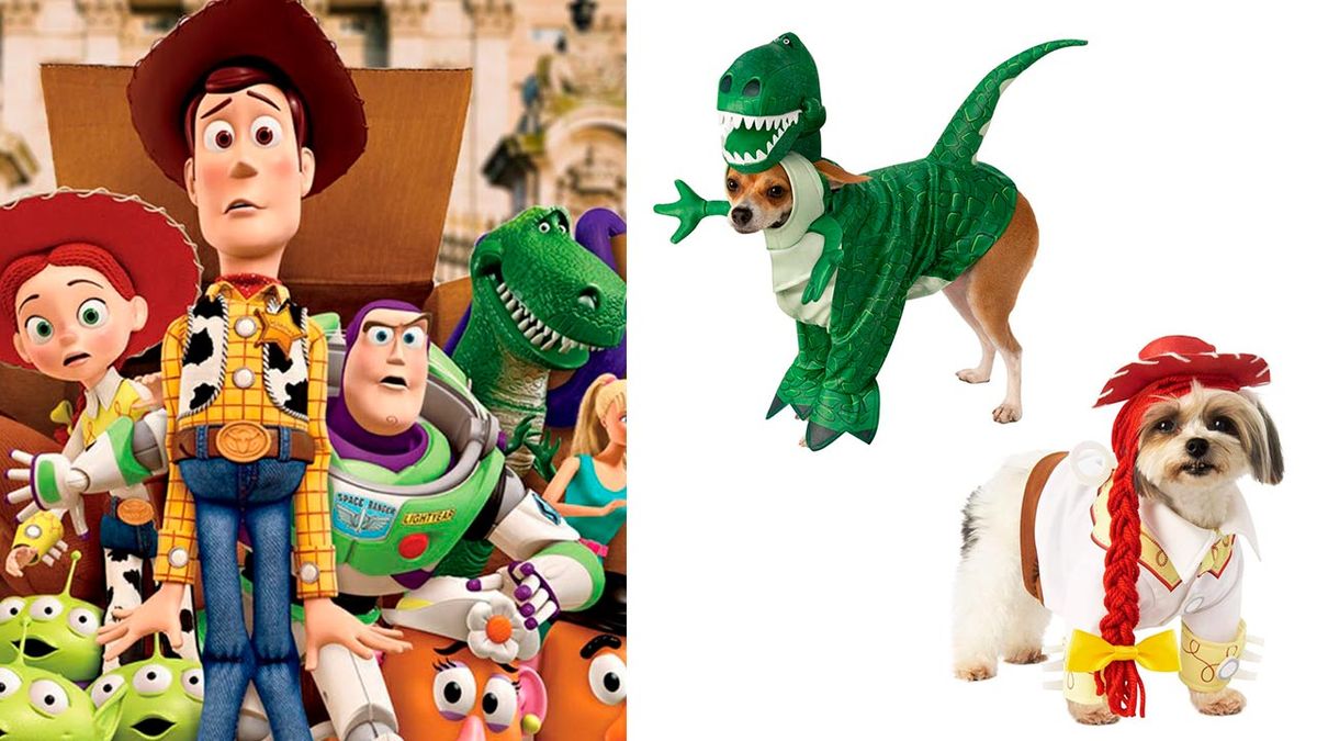 disfraces disney mascotas 10