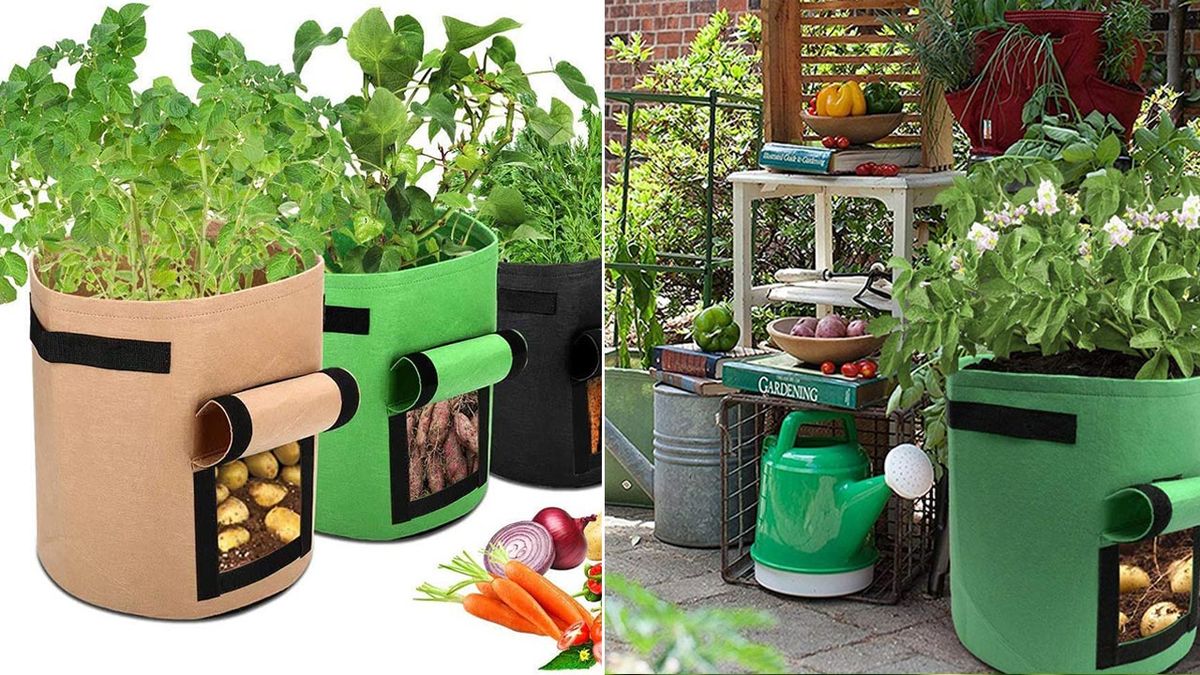 Bolsas de cultivo con ventana