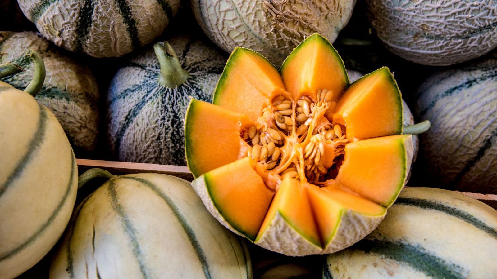 Melón charentais Melón charentais