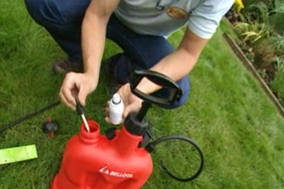 brico jardin 459 tratar hongo calvas cesped primavera paso 3