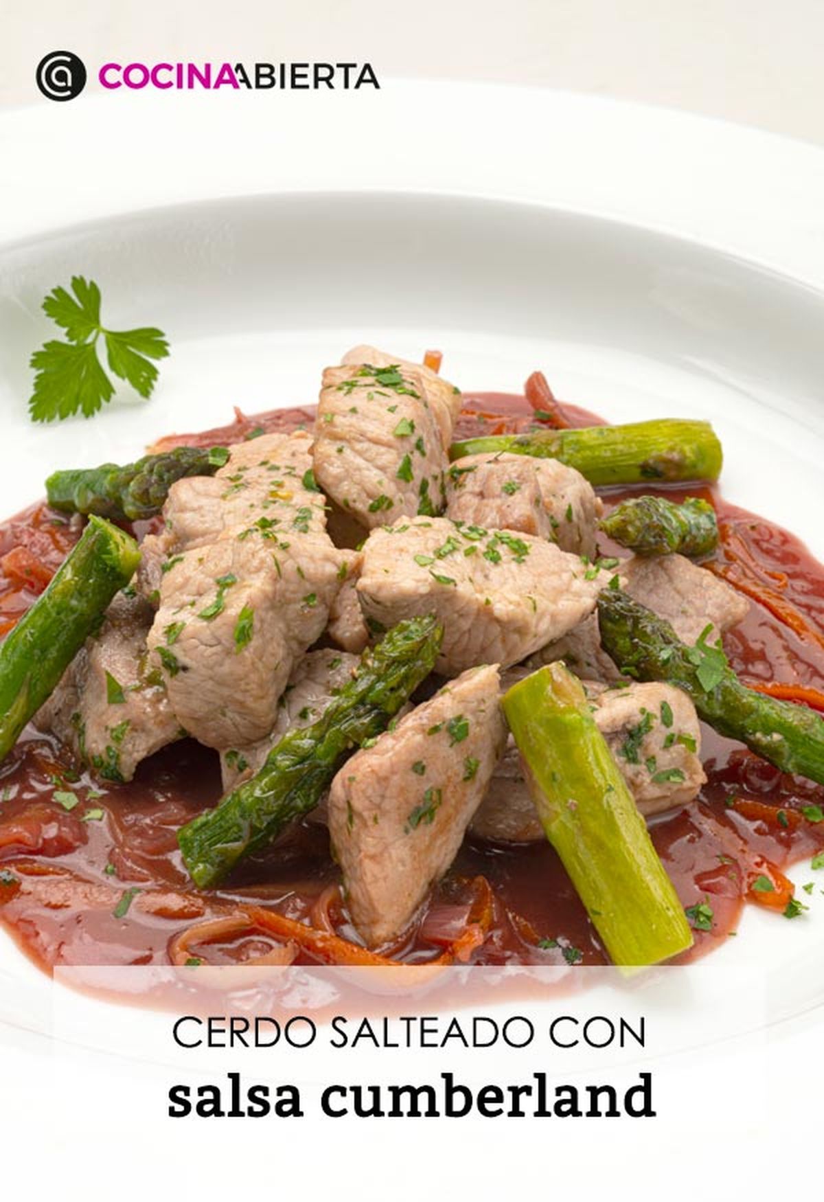 karl6685 cerdo salteado v