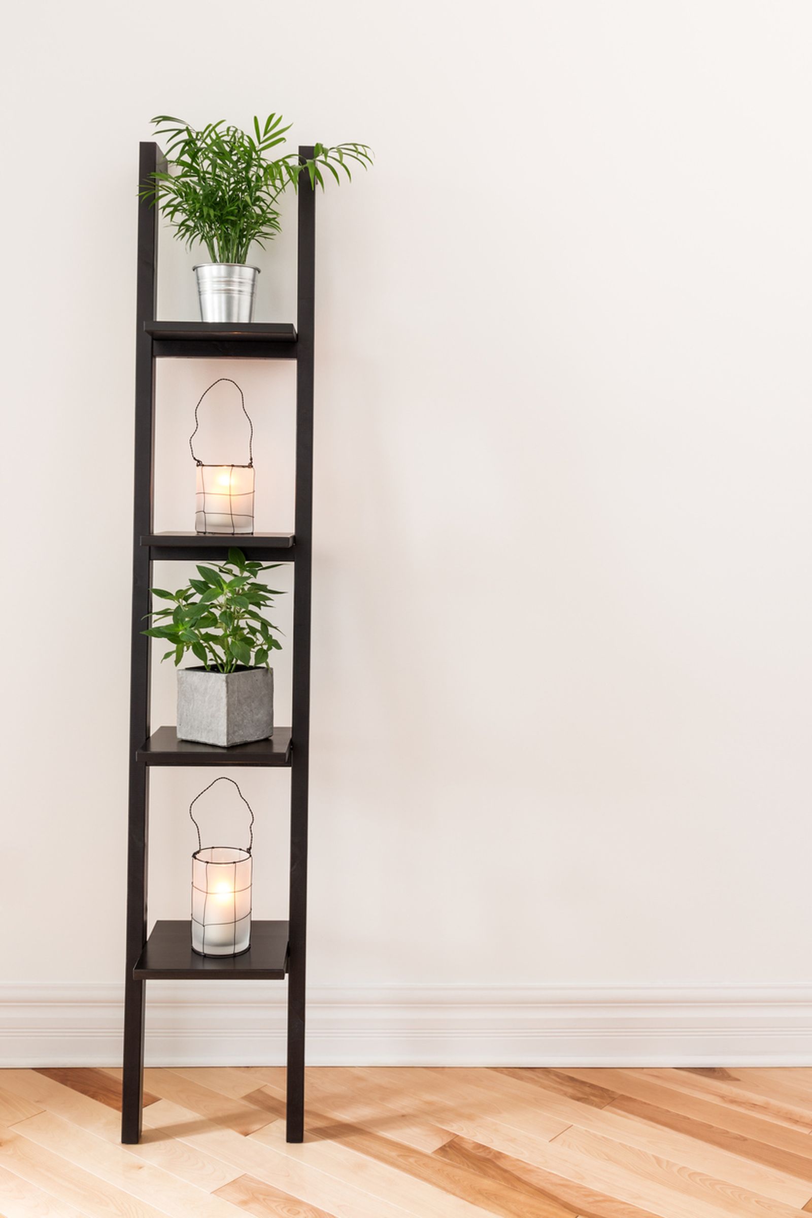 plantas=decoracion4 plantas=decoracion4