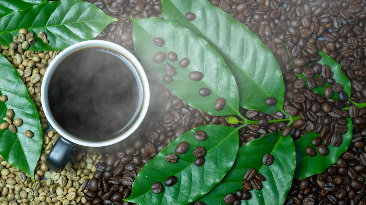 Café