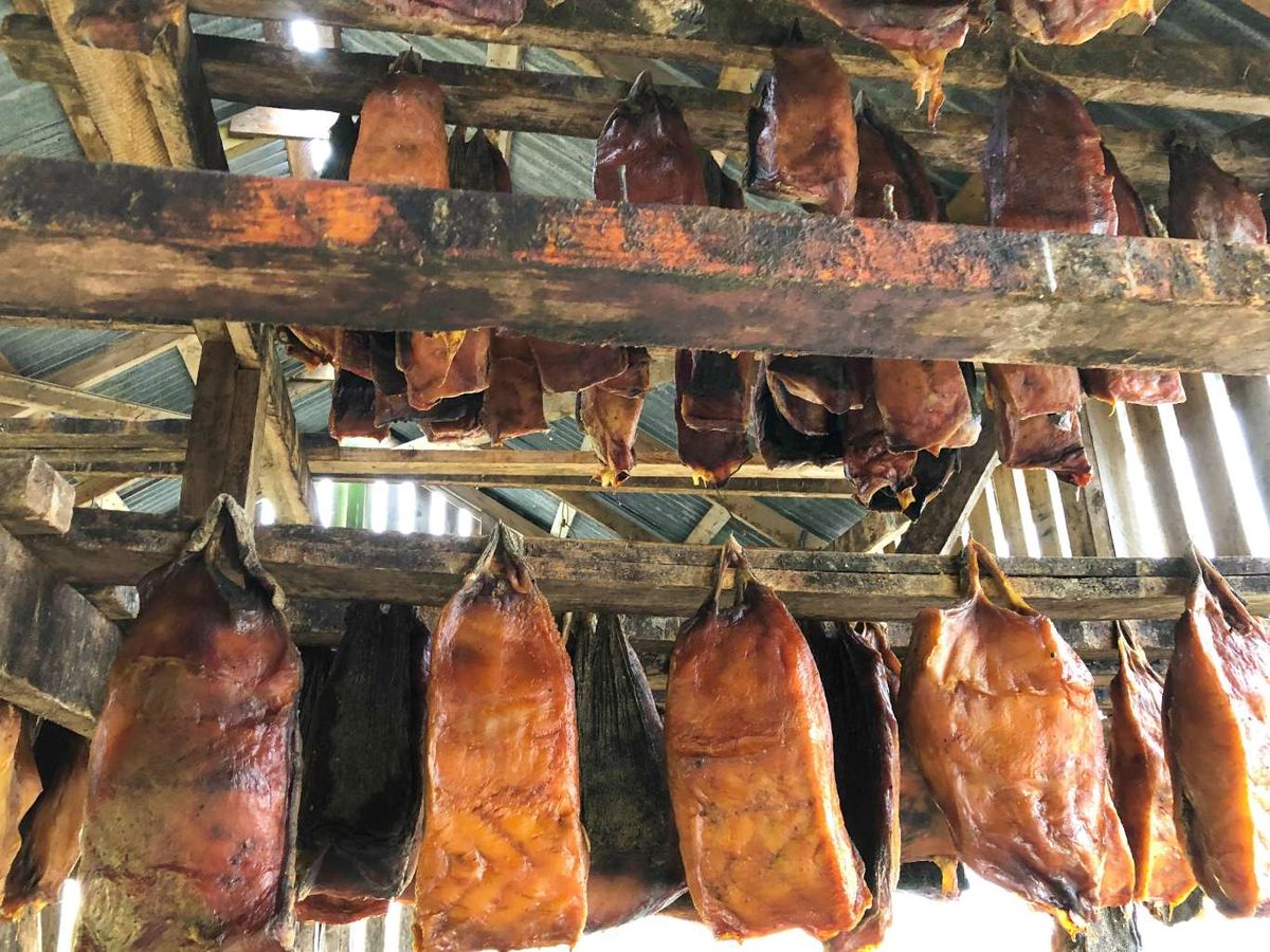 Hákarl (carne de tiburón)