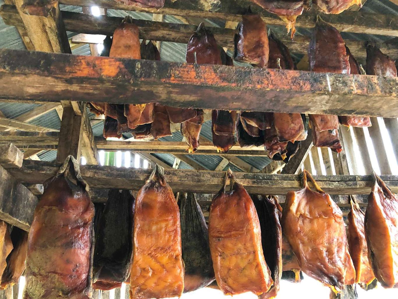 Hákarl (carne de tiburón)