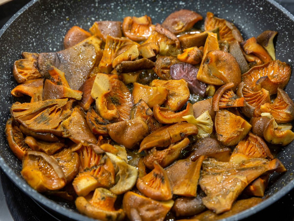 Níscalos guisados en sartén, una de las formas más tradicionales de conservarlos.