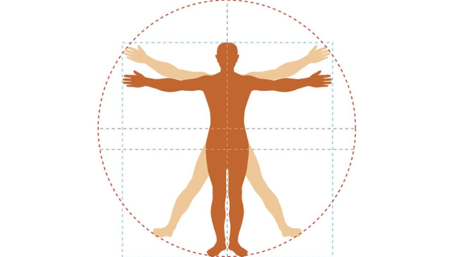 proporcion aurea cuerpo (1) proporcion aurea cuerpo (1)