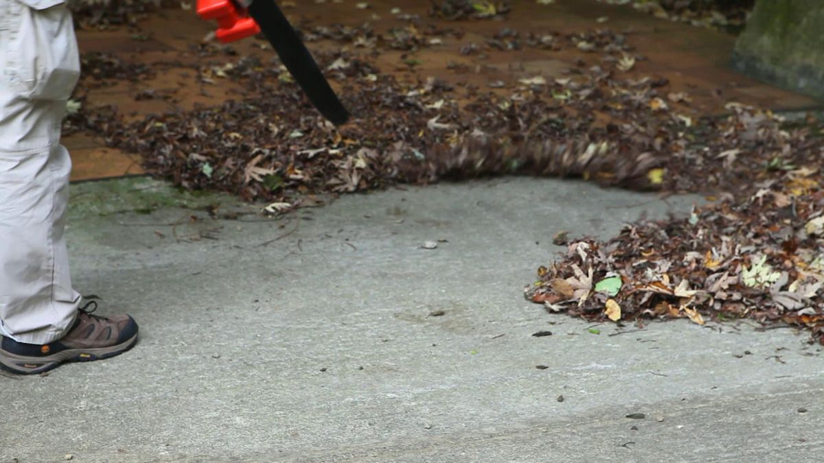 Sopladores y aspiradores de hojas paso 1