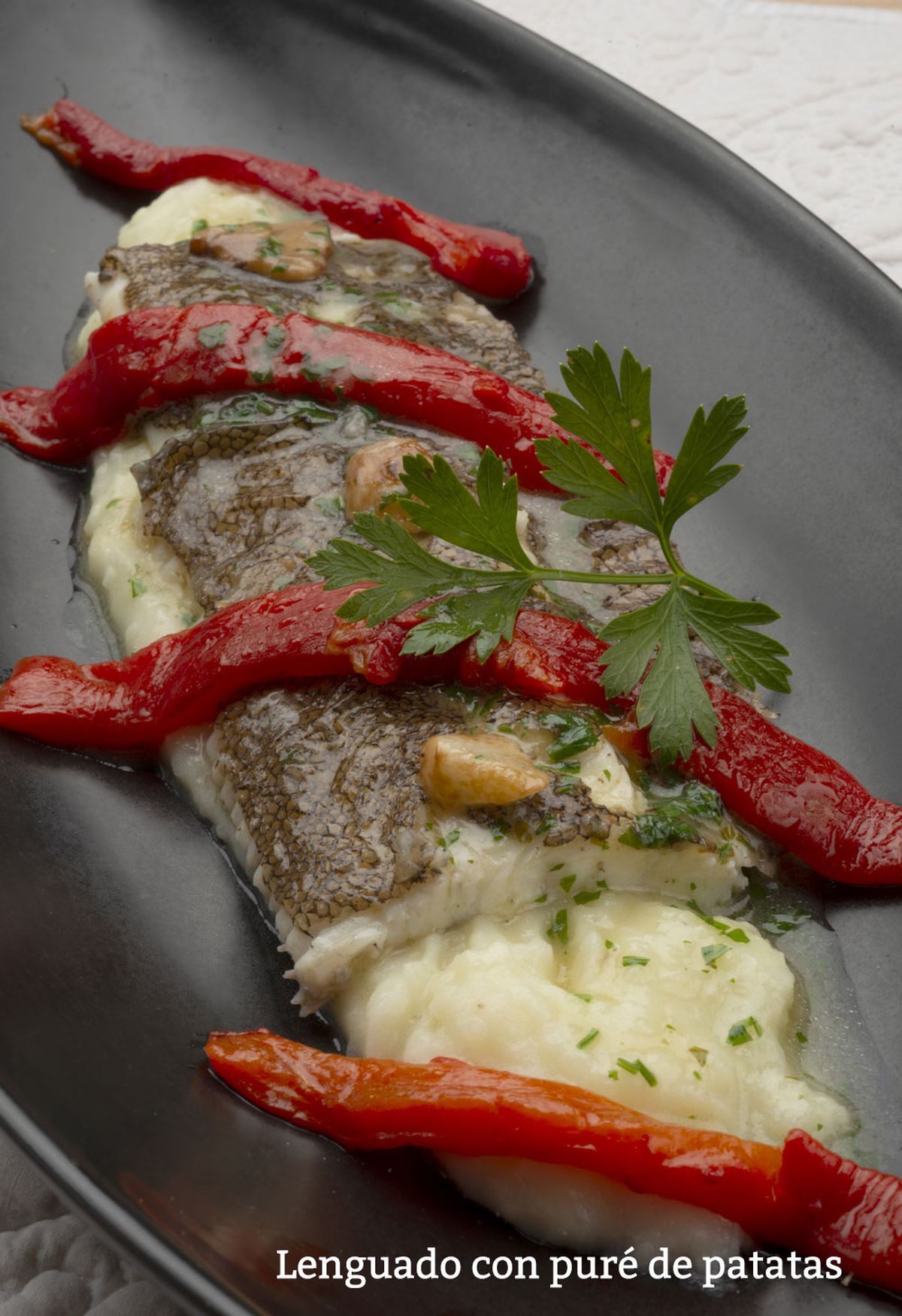 lenguado pure vertical