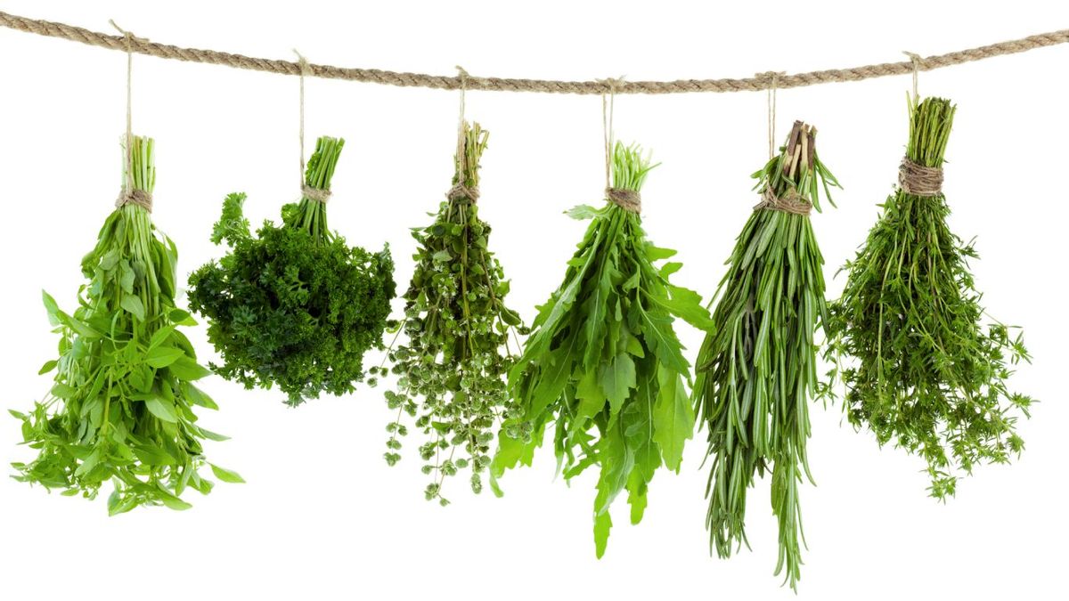 Hierbas aromáticas colgadas