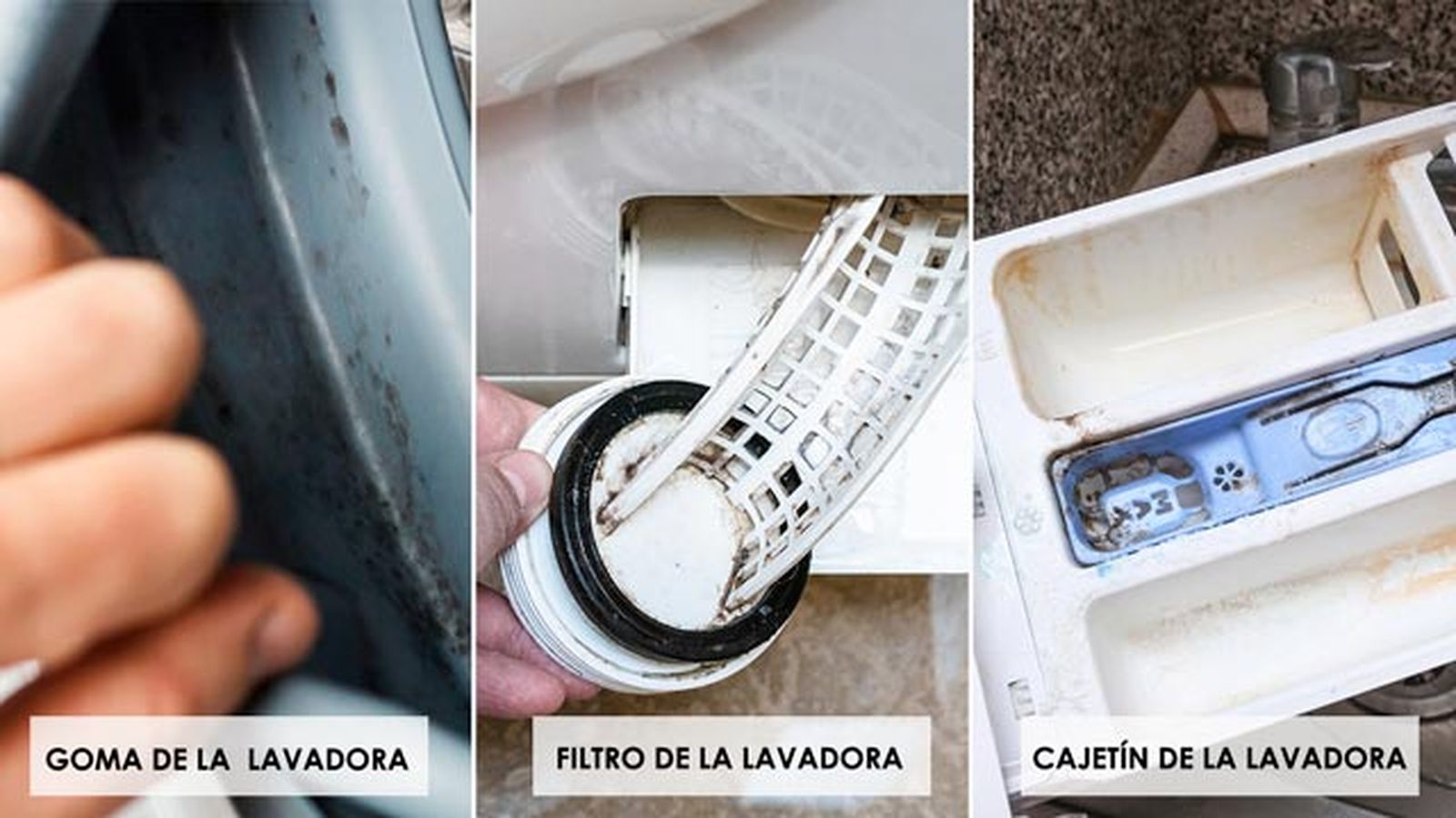 como limpiar la lavadora por dentro con bicarbonato de sodio vinagre partes como limpiar la lavadora por dentro con bicarbonato de sodio vinagre partes