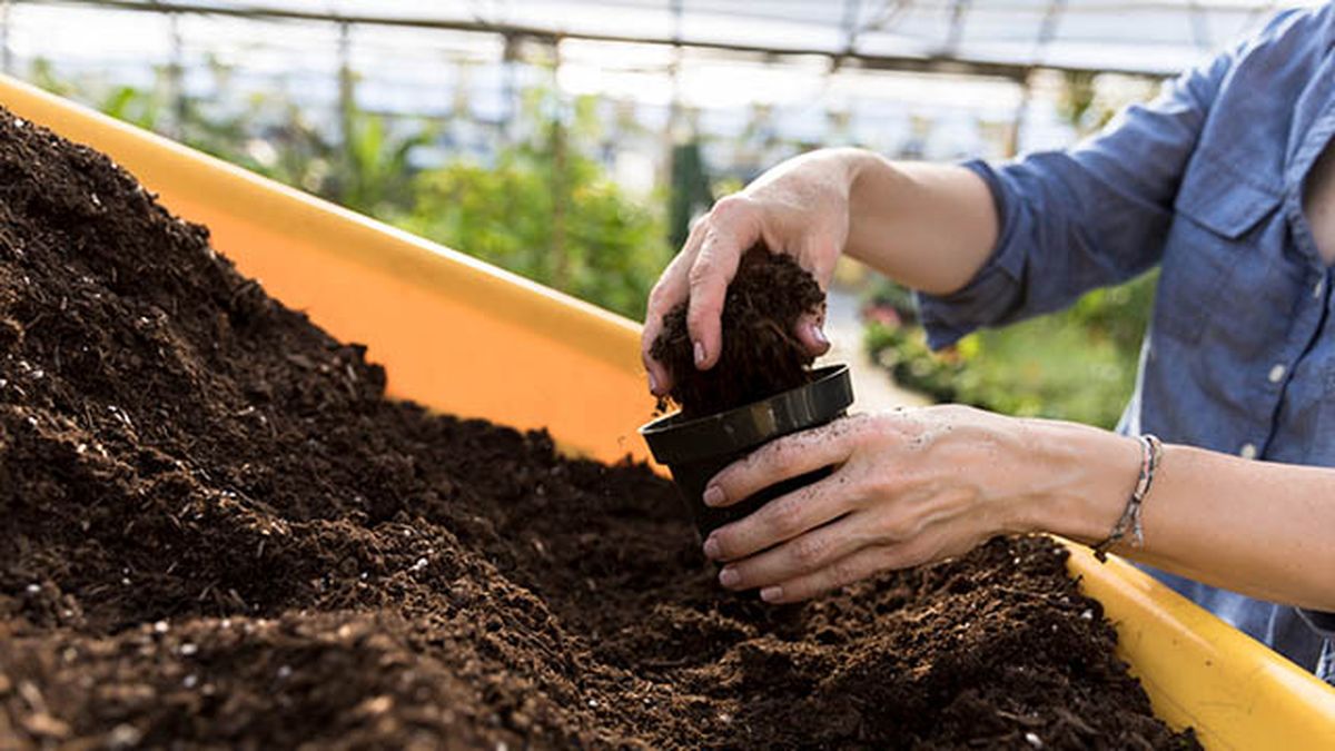 mezclar tierra minera con sustrato organico