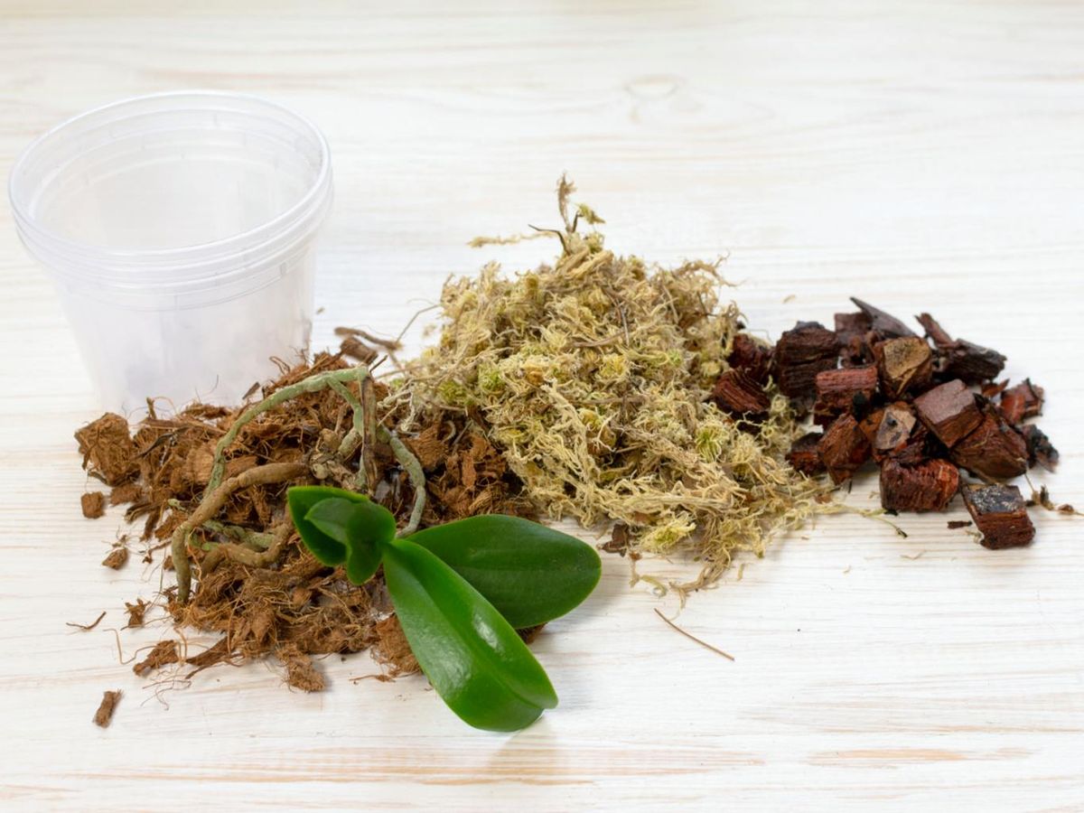 Materiales para preparar sustrato para orquídeas.