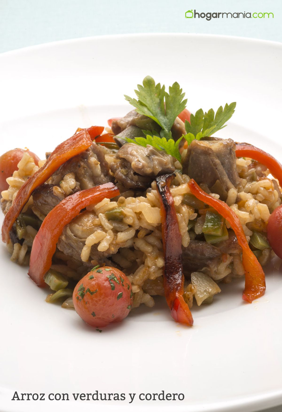 6029 1 Arroz con verduras y cordero (1391) vertical xl