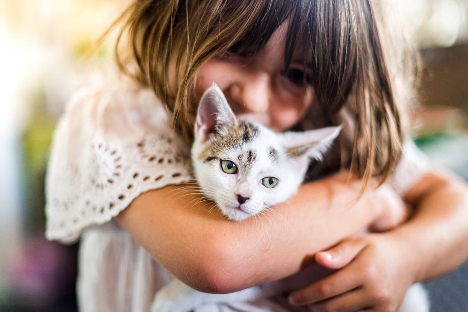La intención es clara: fomentar adopciones responsables y evitar futuros abandonos.
