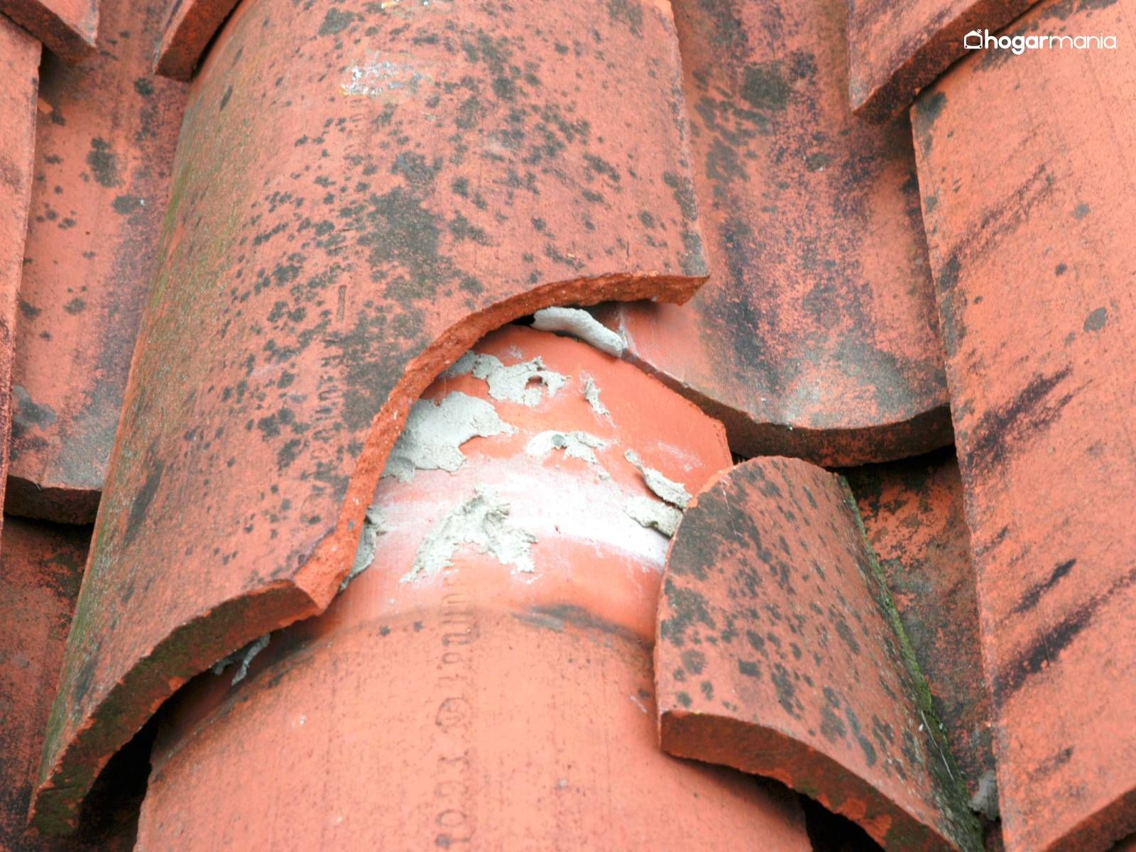 Cómo arreglar una teja en el tejado