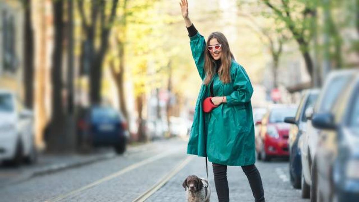 servicio de transporte con mascotas entaxis diferencia VTC