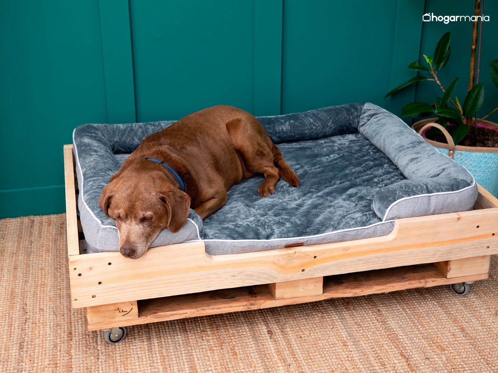 Cama para mascotas