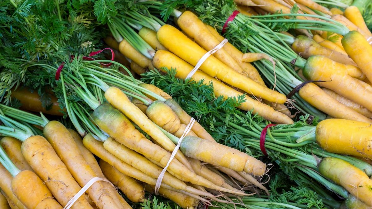 Zanahorias amarillas