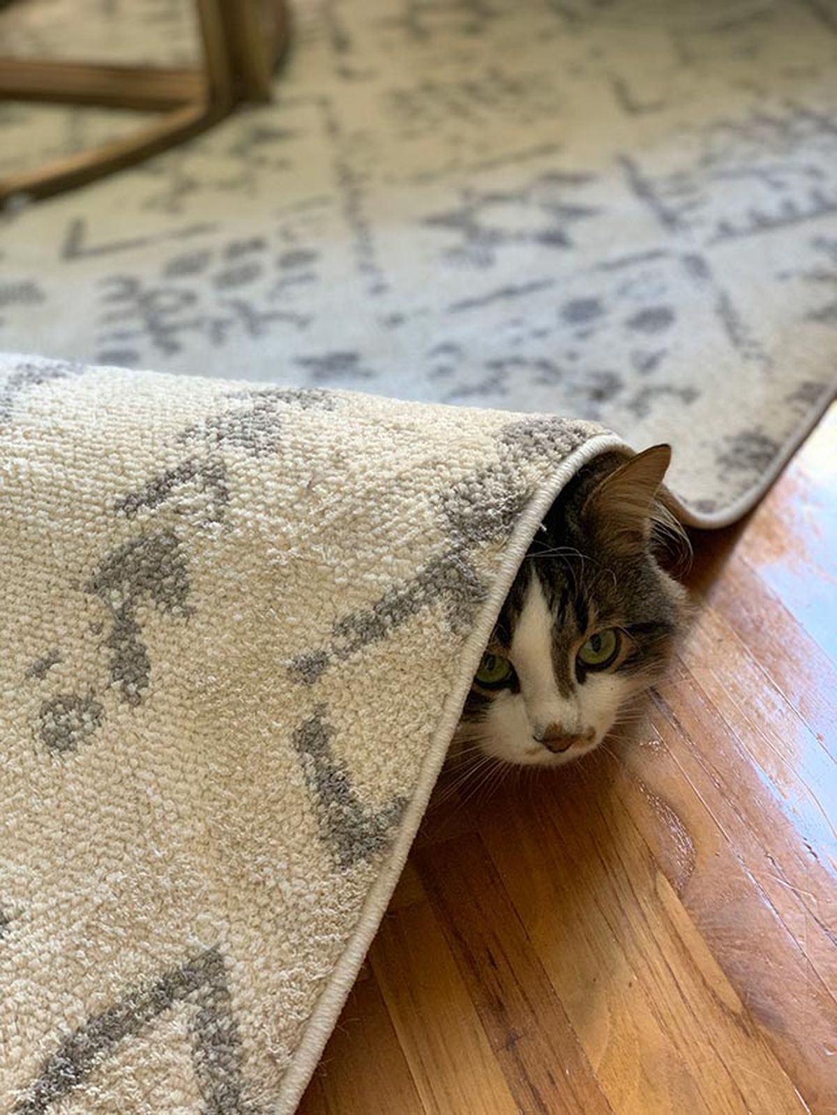 como arreglar borde alfombra deshilachada