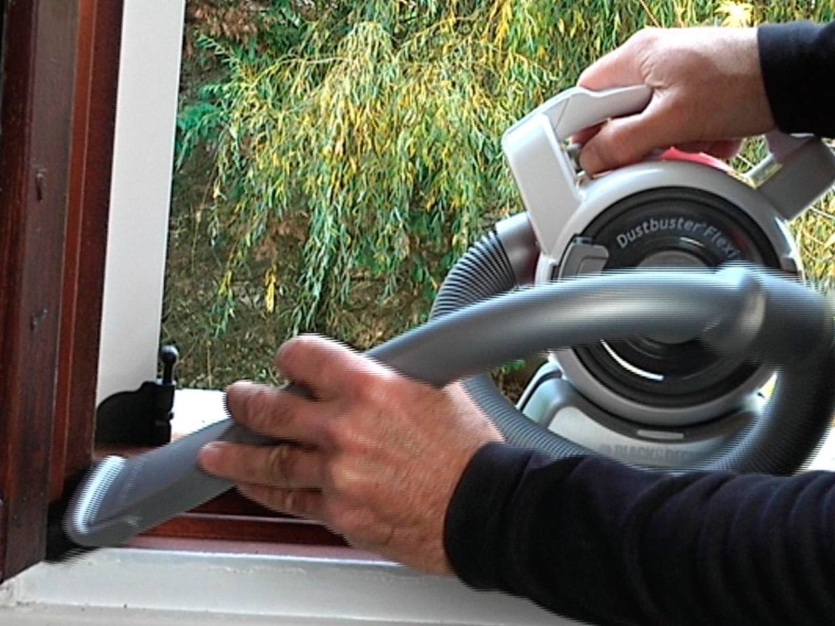 Limpia bien la superficie