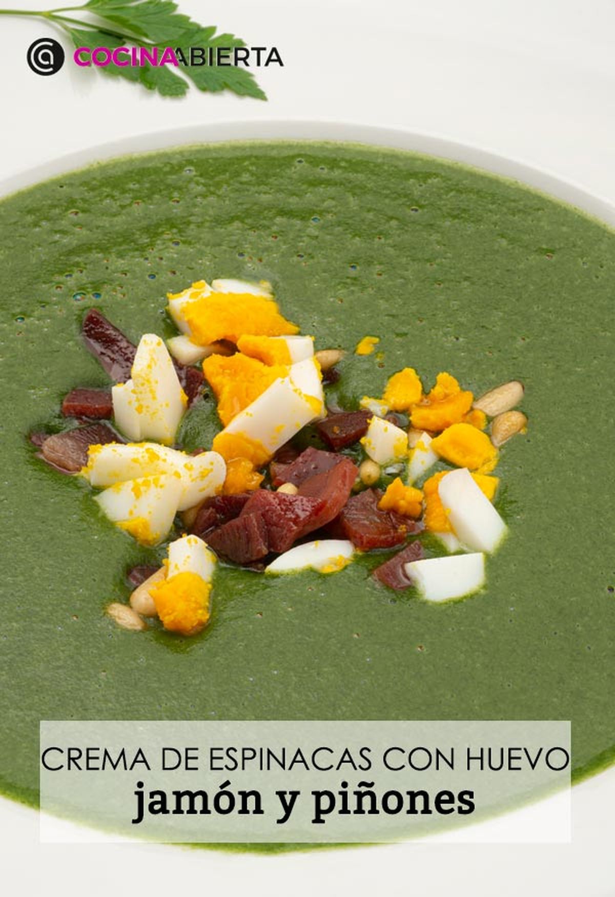 karl6657 crema espinacas v