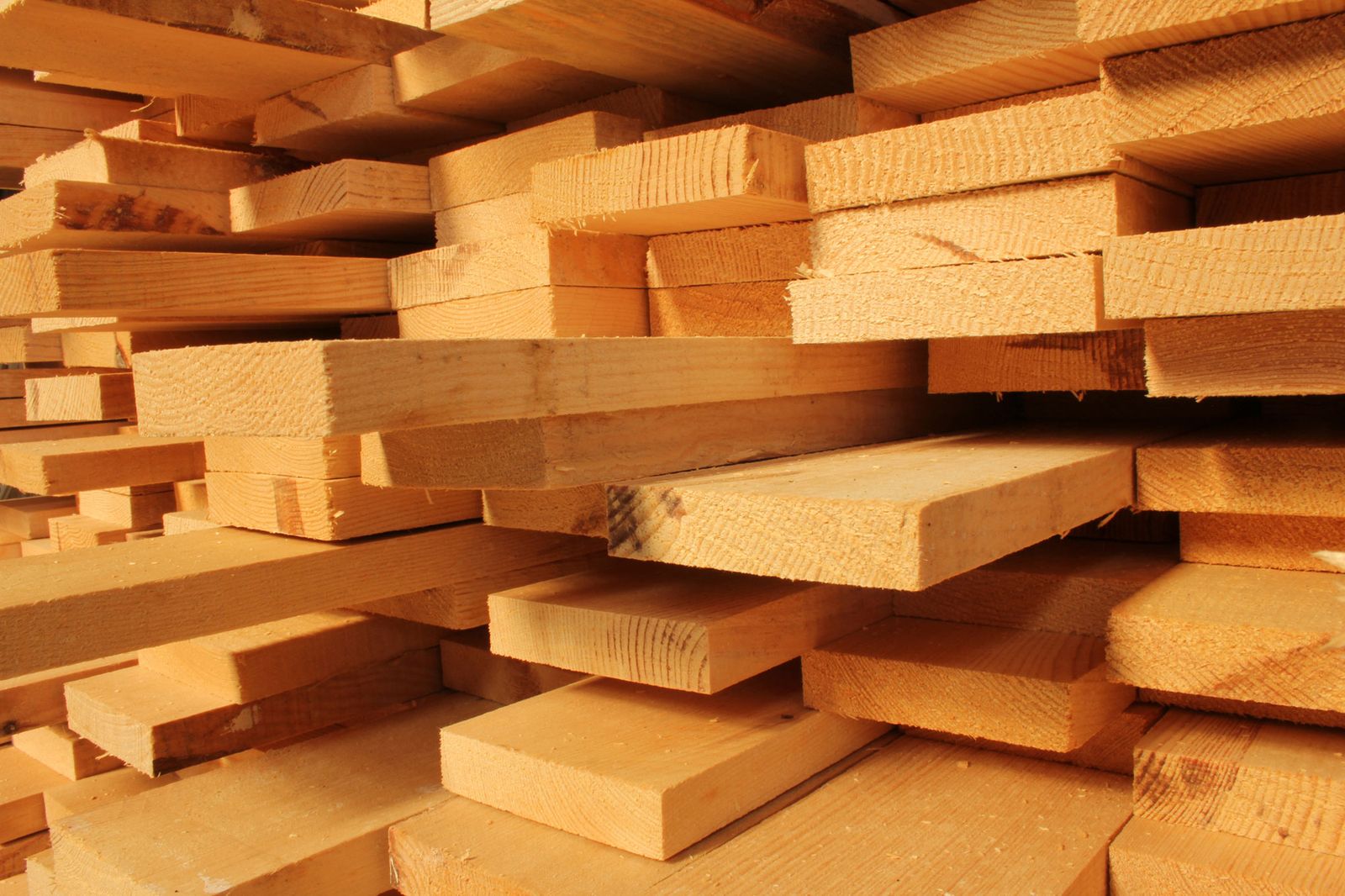 Madera de pino blanco 2 Madera de pino blanco 2