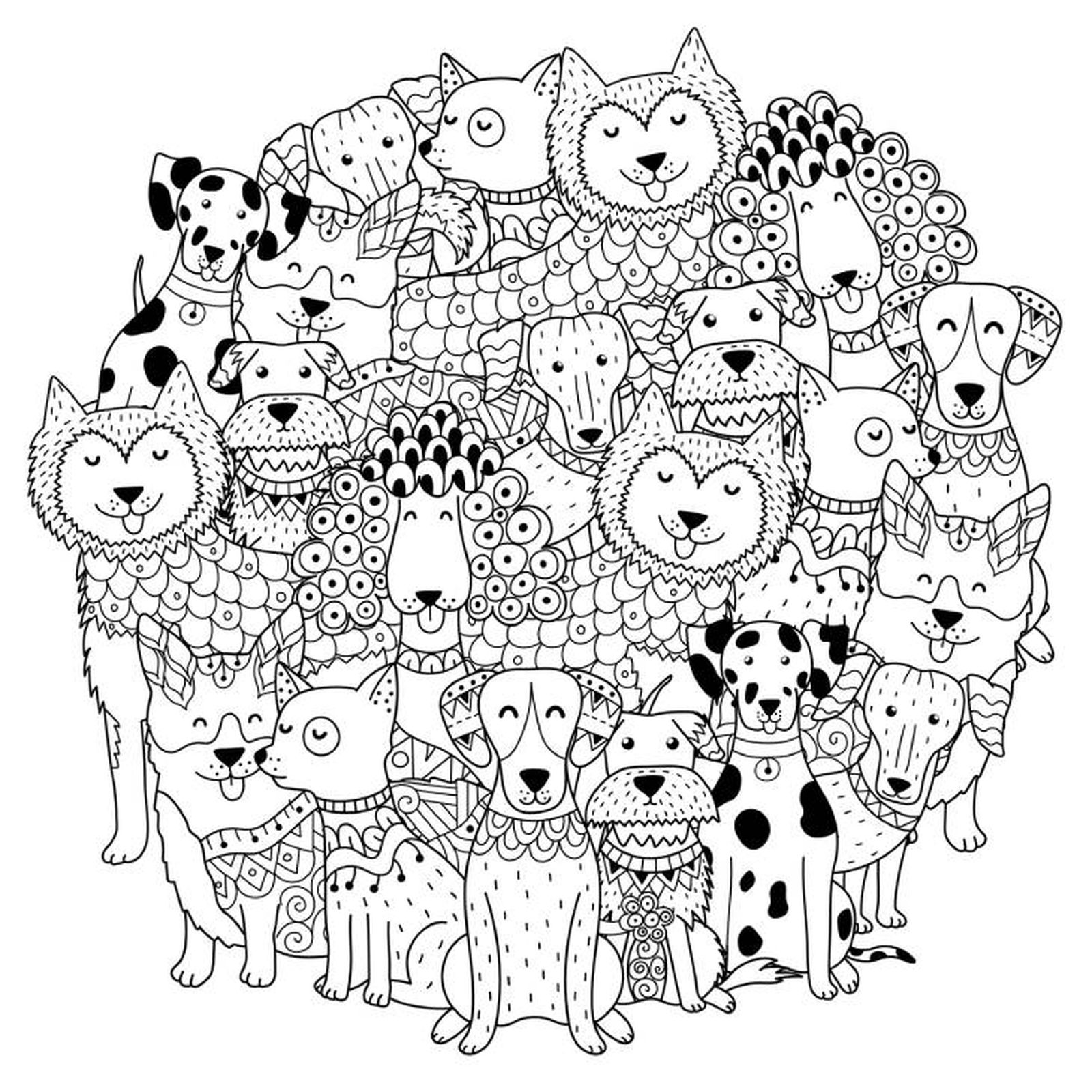 perros mandalas perros mandalas