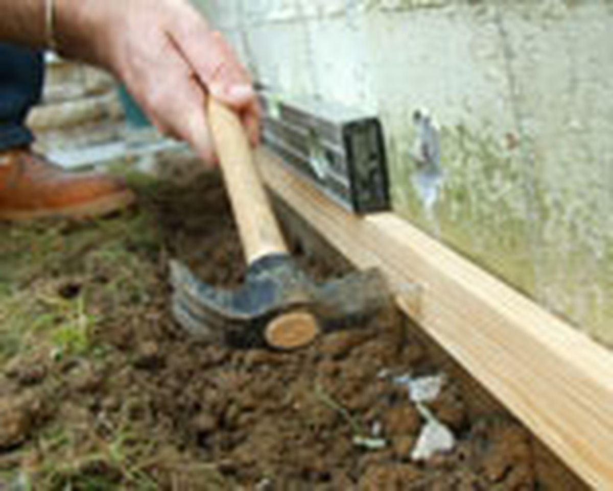 462 pied nat ext p12