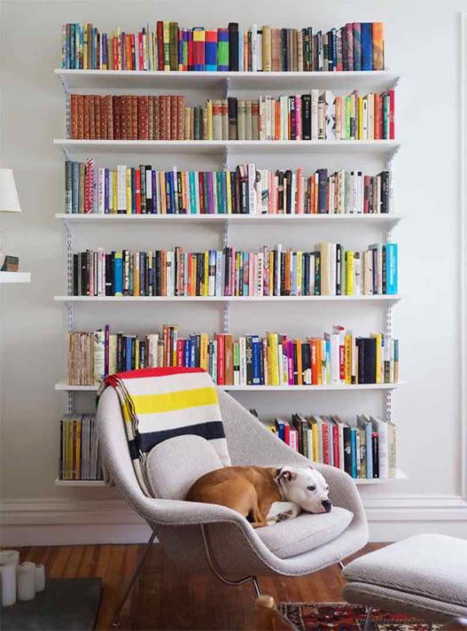Una estantería de libros organizada por orden alfabético de autor o título Una estantería de libros organizada por orden alfabético de autor o título