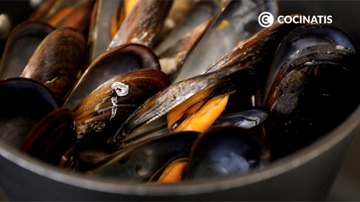 CTIS0992 receta salpicon de marisco paso 1