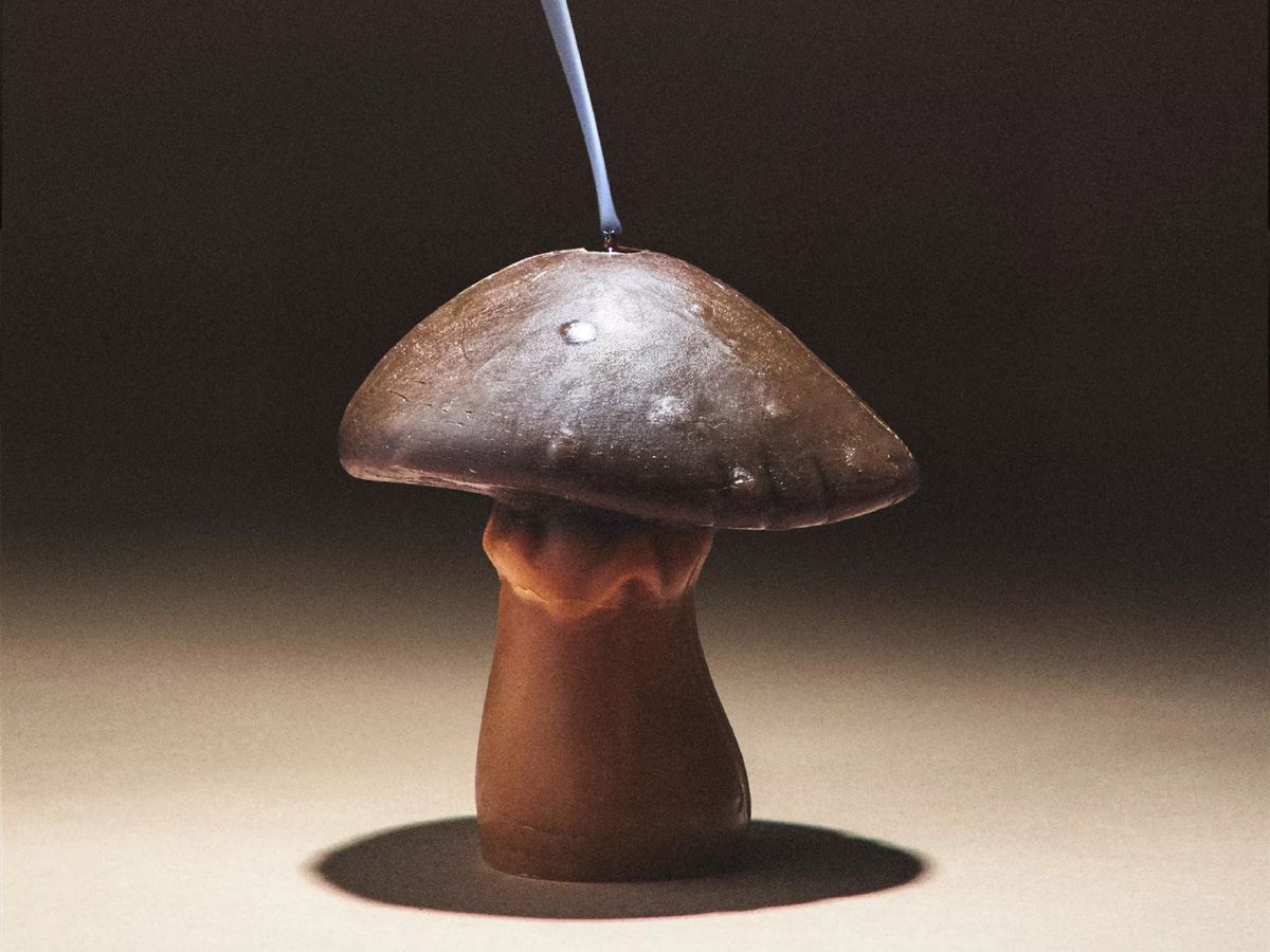 Vela aromática en forma de seta, con fragancia Pumpkin Spice.